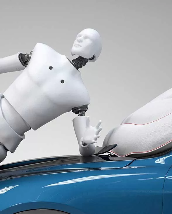 Dummy crash test